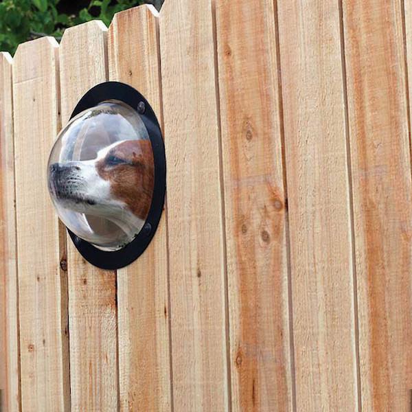 unnecessary-pet-products-window