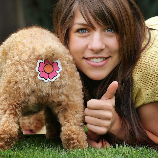 unnecessary-pet-products-dog-sticker