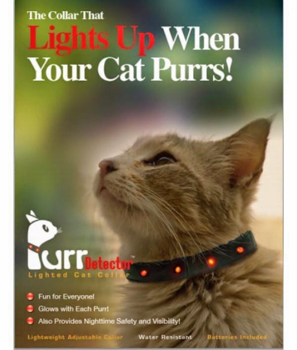 unnecessary-pet-products-cat-purrs-lights