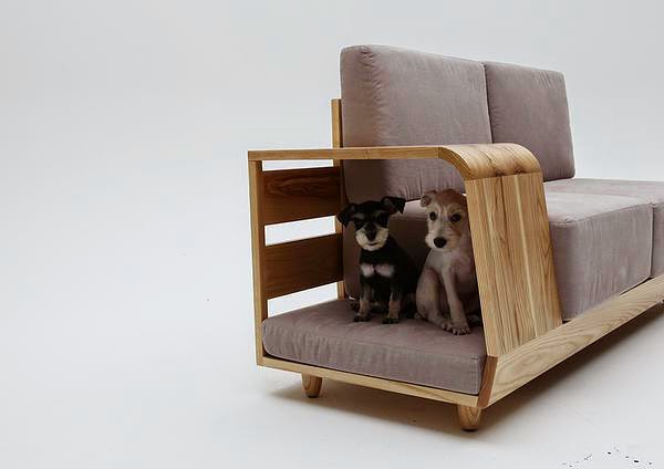 unnecessary-pet-products-dogcouch