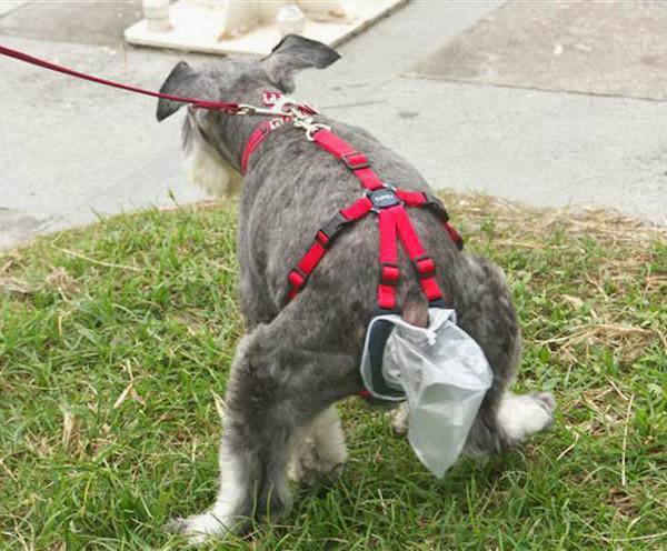 unnecessary-pet-products-dog-bag