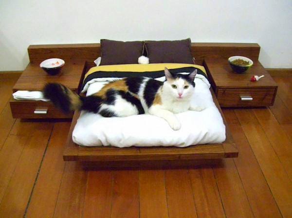 unnecessary-pet-products-cat-bedroom