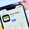 How to Organize Your Digital Cards in Apple Wallet