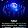 Οι νευροεπιστήμονες έκαναν μια πρωτοποριακή ανακάλυψη: οι ανθρώπινοι εγκέφαλοι μπορεί να διασυνδέονται μέσω ηλεκτρομαγνητικών κυμάτων εξαιρετικά χαμηλής συχνότητας (ELF).